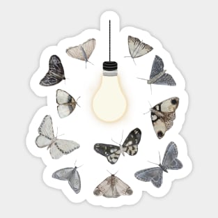 Moths to a Light Sticker